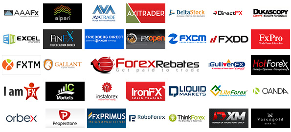 Best Forex Brokers for Beginners: Your Path to Success